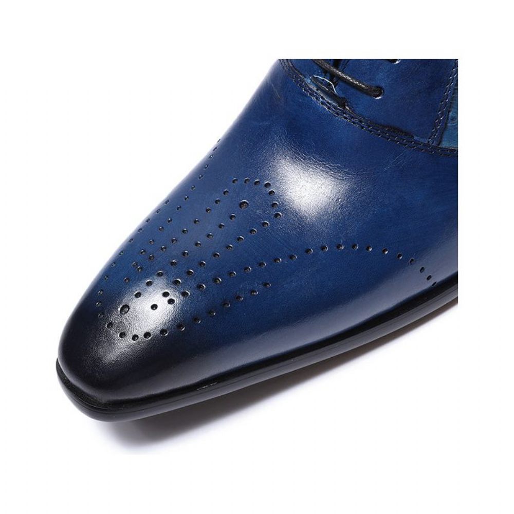 Chaussures Formelles Pour Hommes Décontractées Oxford Brogue À Lacets Exotiques - Bleu