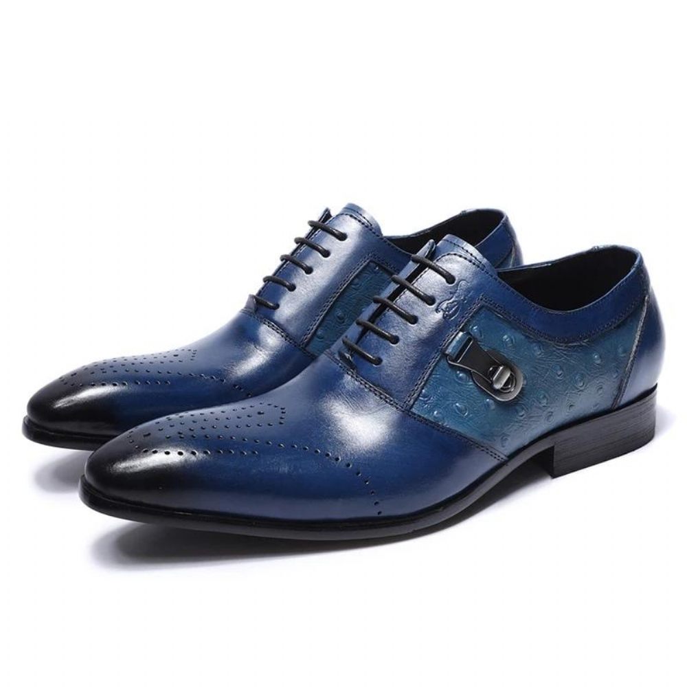 Chaussures Formelles Pour Hommes Décontractées Oxford Brogue À Lacets Exotiques - Bleu