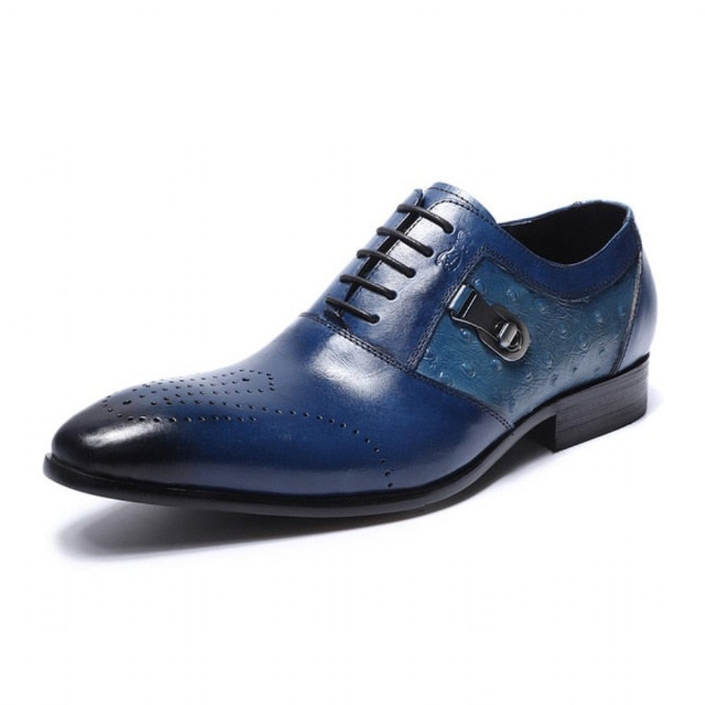 Chaussures Formelles Pour Hommes Décontractées Oxford Brogue À Lacets Exotiques - Bleu