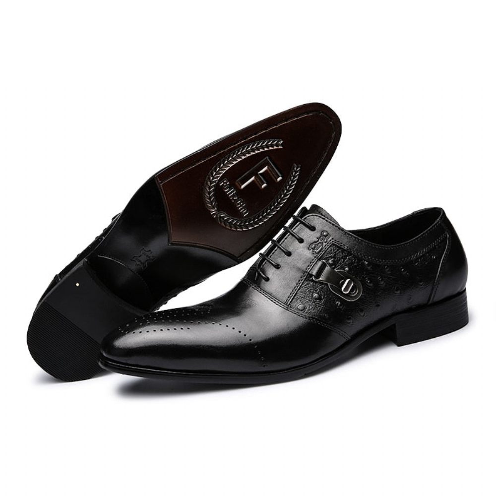 Chaussures Formelles Pour Hommes Décontractées Oxford Brogue À Lacets Exotiques - Noir