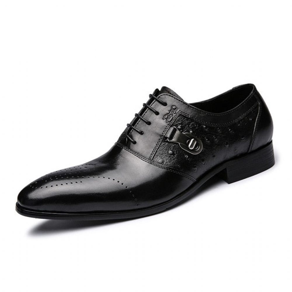 Chaussures Formelles Pour Hommes Décontractées Oxford Brogue À Lacets Exotiques - Noir