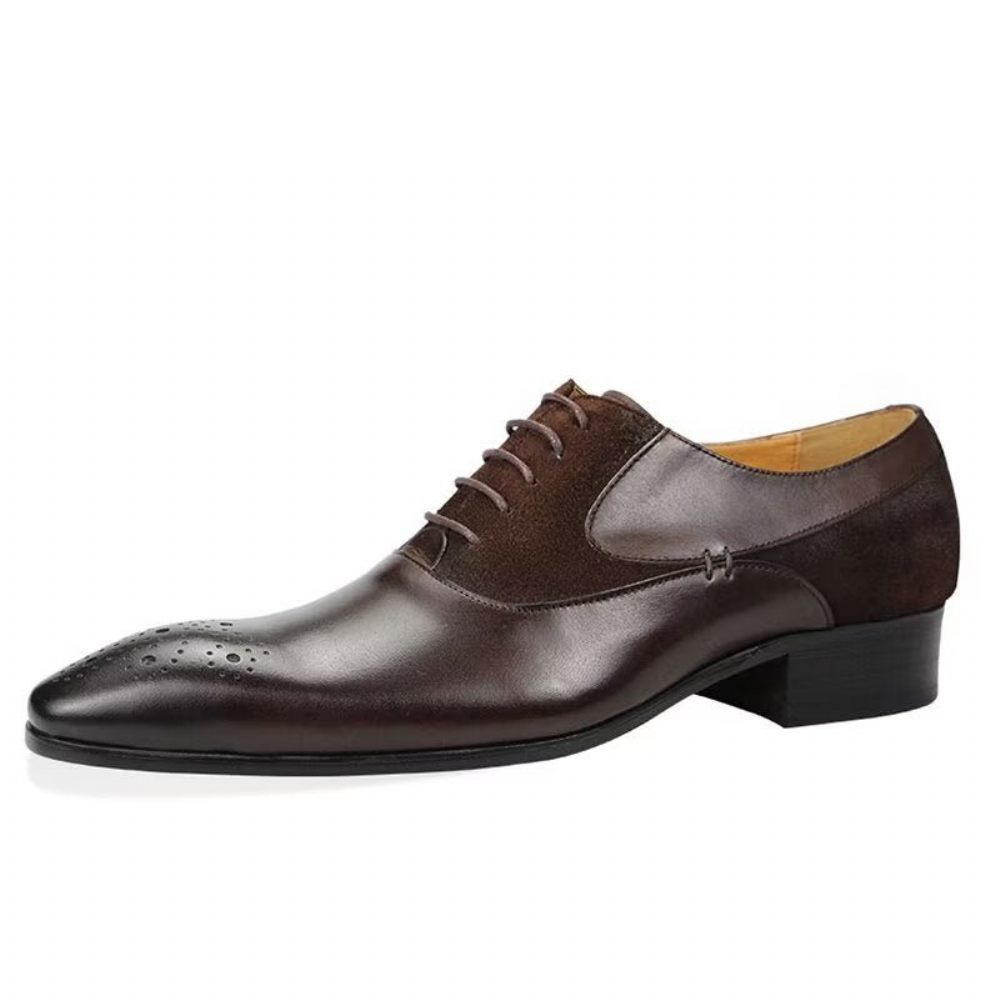 Chaussures Formelles Pour Hommes Deluxe Nuptial Oxford Modishopulence Brogue Shoes - Café