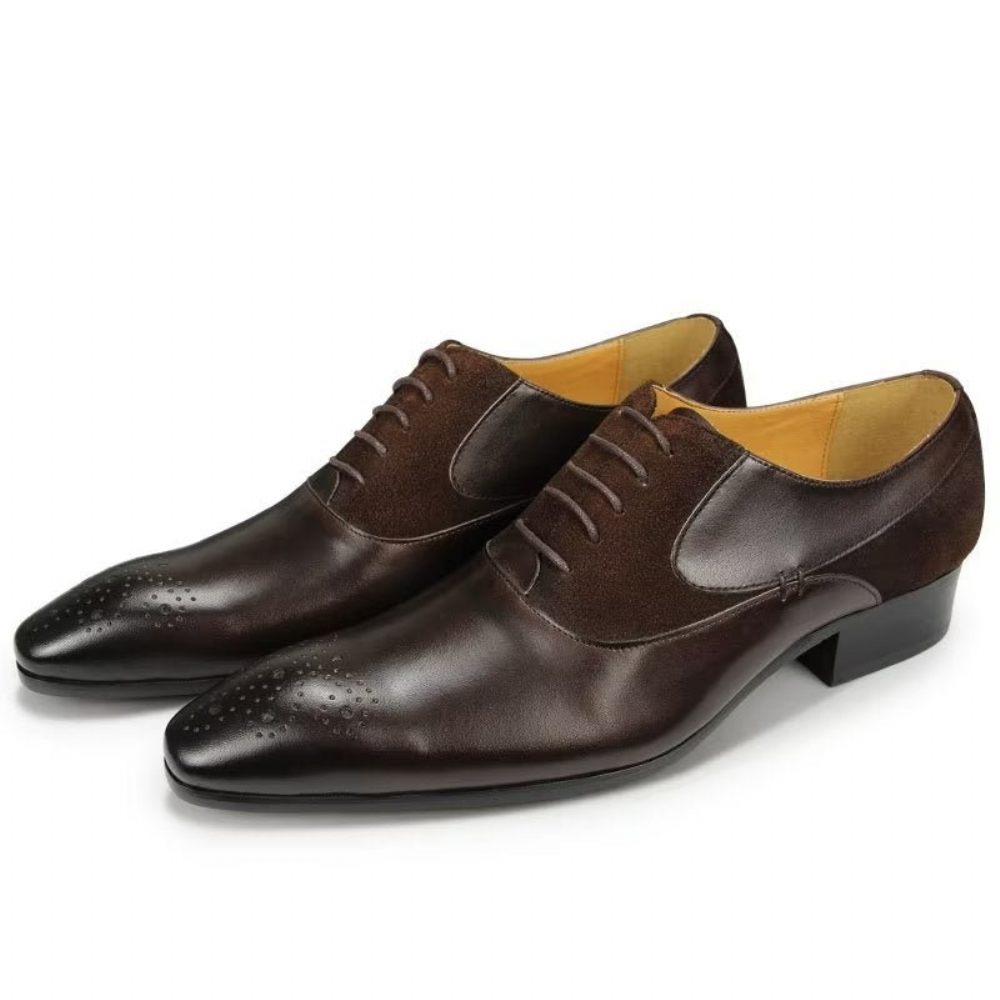 Chaussures Formelles Pour Hommes Deluxe Nuptial Oxford Modishopulence Brogue Shoes - Café