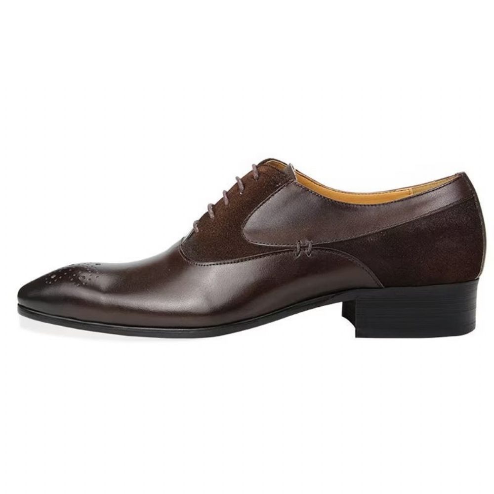 Chaussures Formelles Pour Hommes Deluxe Nuptial Oxford Modishopulence Brogue Shoes - Café