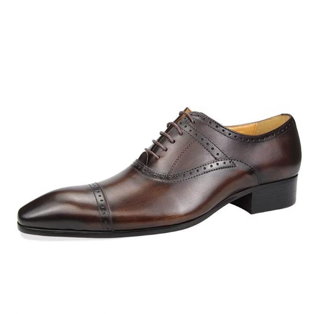 Chaussures Formelles Pour Hommes Deluxe Oxford Lavishnuptial Brogues - Café