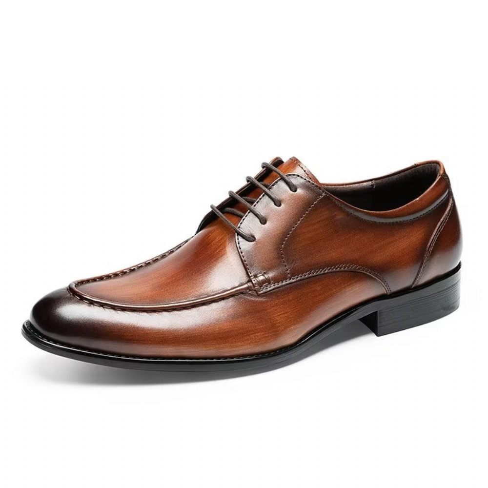 Chaussures Formelles Pour Hommes Derbies À Lacets Habillées - Café