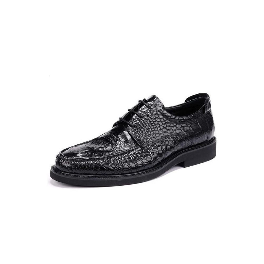 Chaussures Formelles Pour Hommes Derby Alligator À Lacets Et Bout Rond