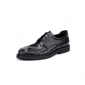 Chaussures Formelles Pour Hommes Derby Alligator À Lacets Et Bout Rond