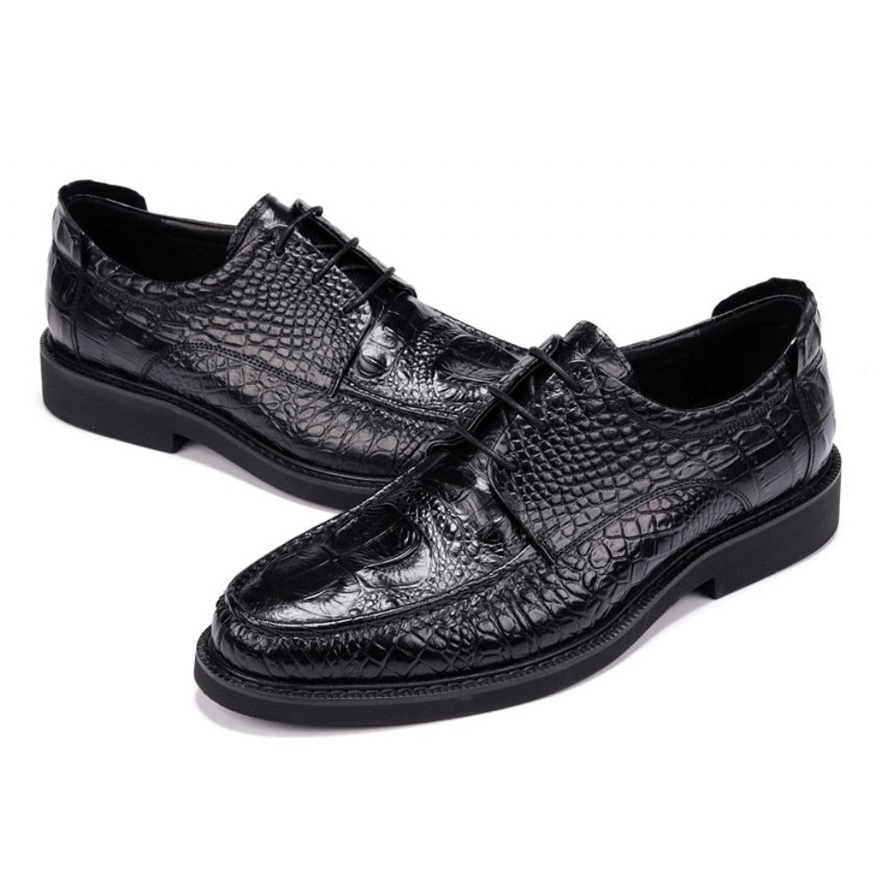 Chaussures Formelles Pour Hommes Derby Alligator À Lacets Et Bout Rond - Noir