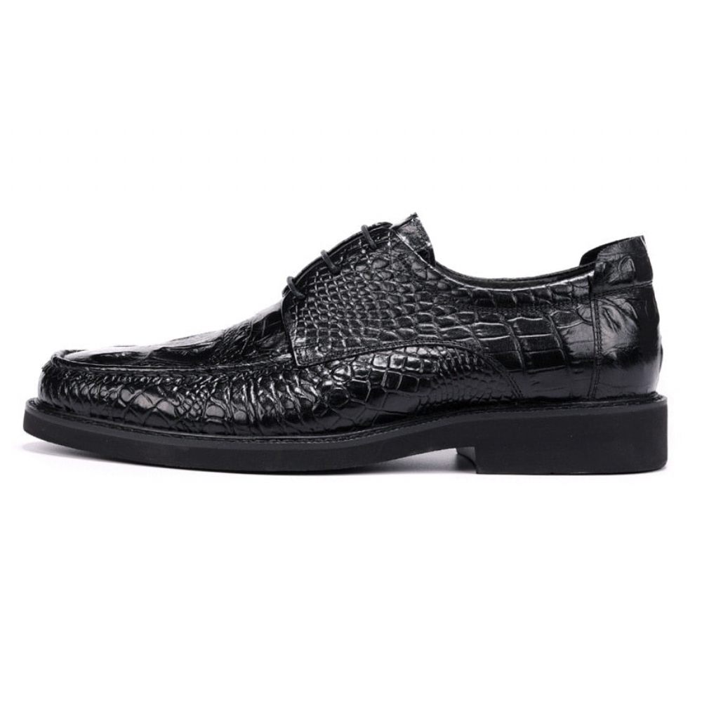 Chaussures Formelles Pour Hommes Derby Alligator À Lacets Et Bout Rond - Noir