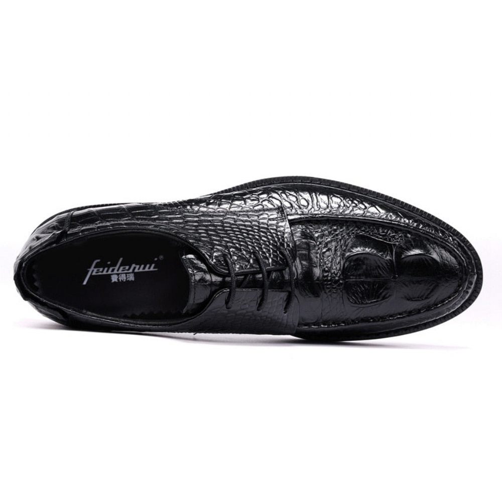 Chaussures Formelles Pour Hommes Derby Alligator À Lacets Et Bout Rond - Noir