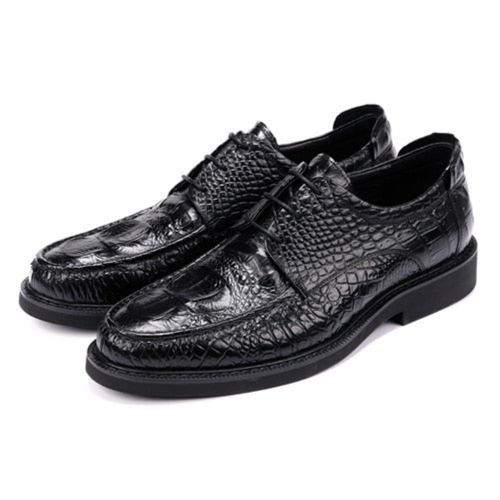 Chaussures Formelles Pour Hommes Derby Alligator À Lacets Et Bout Rond - Noir