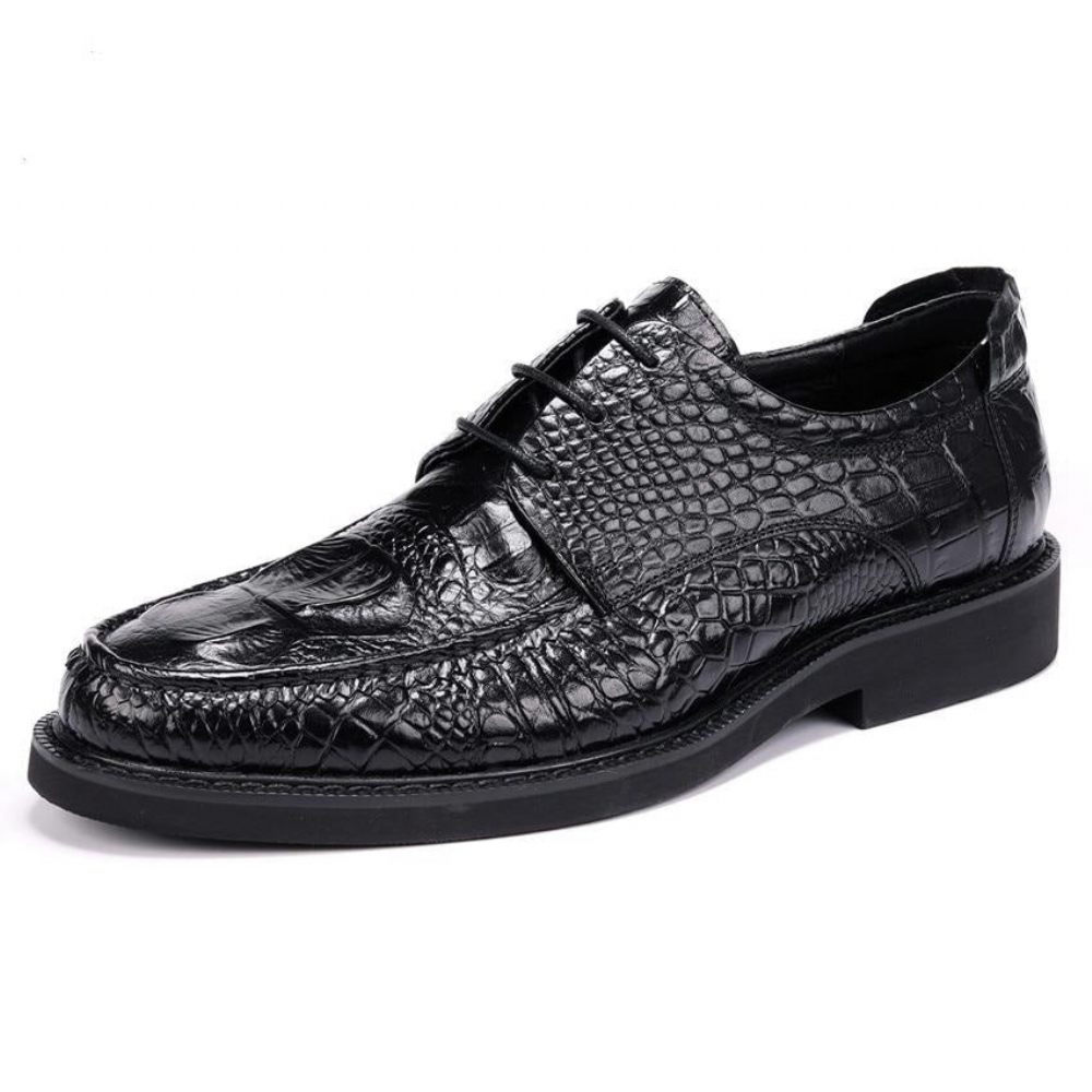 Chaussures Formelles Pour Hommes Derby Alligator À Lacets Et Bout Rond - Noir