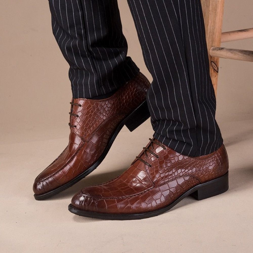 Chaussures Formelles Pour Hommes Derby Cuir Vache - Café