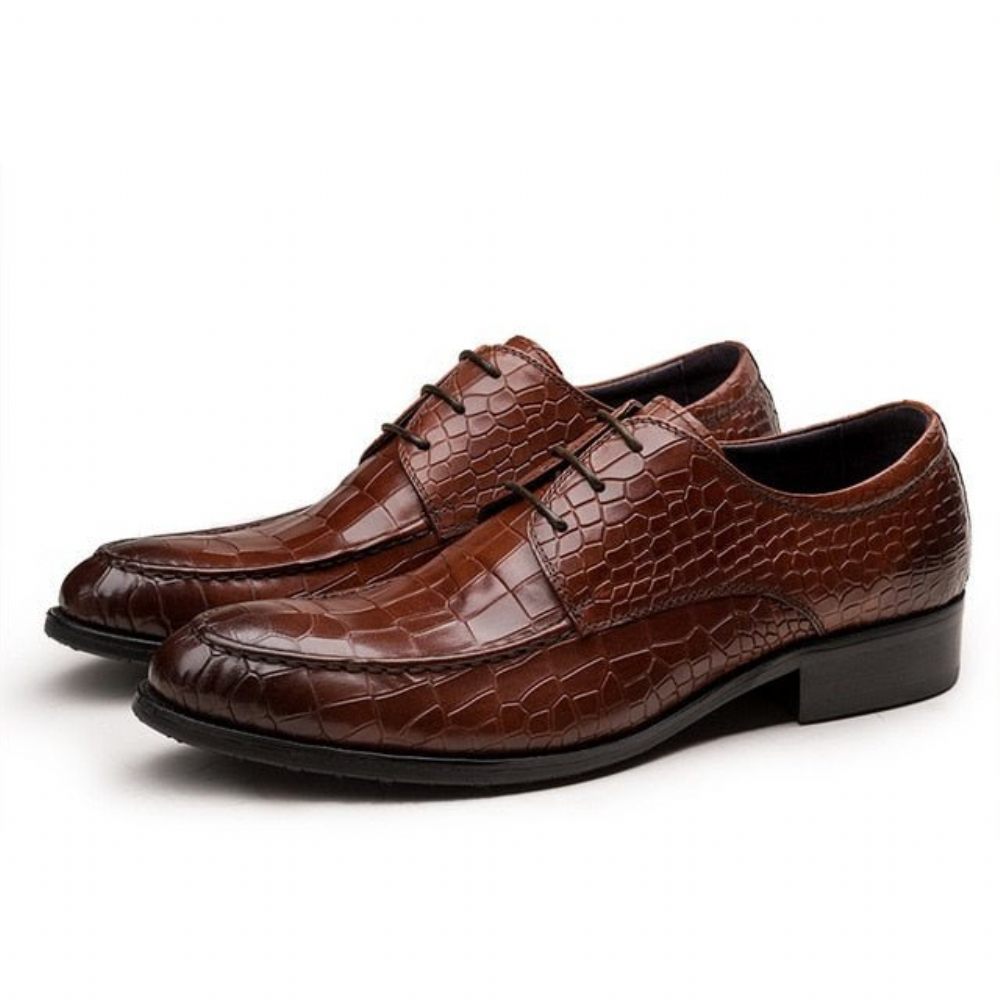 Chaussures Formelles Pour Hommes Derby Cuir Vache - Café