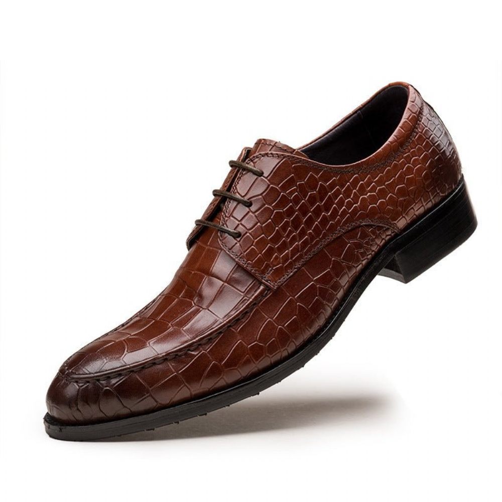 Chaussures Formelles Pour Hommes Derby Cuir Vache - Café