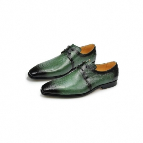 Chaussures Formelles Pour Hommes Derby Cuir Véritable Gaufré Croco