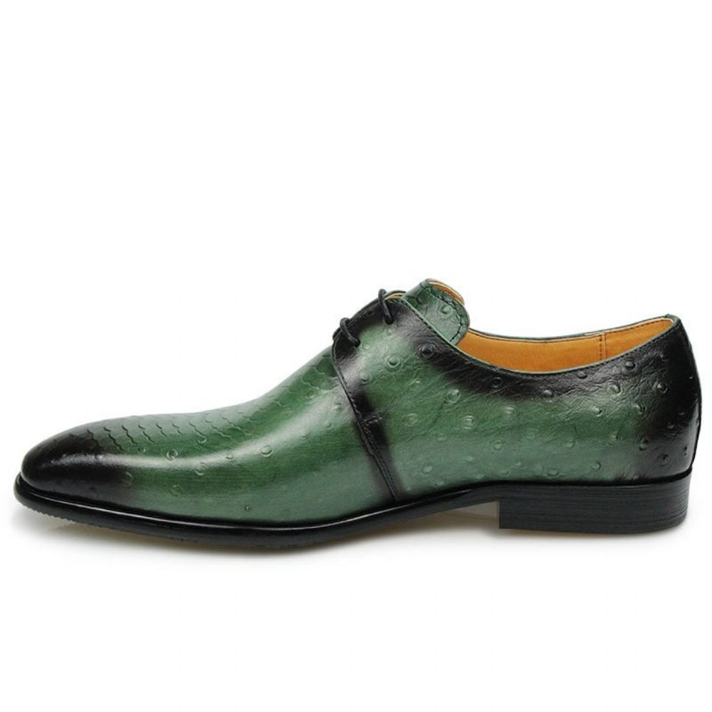 Chaussures Formelles Pour Hommes Derby Cuir Véritable Gaufré Croco - Vert