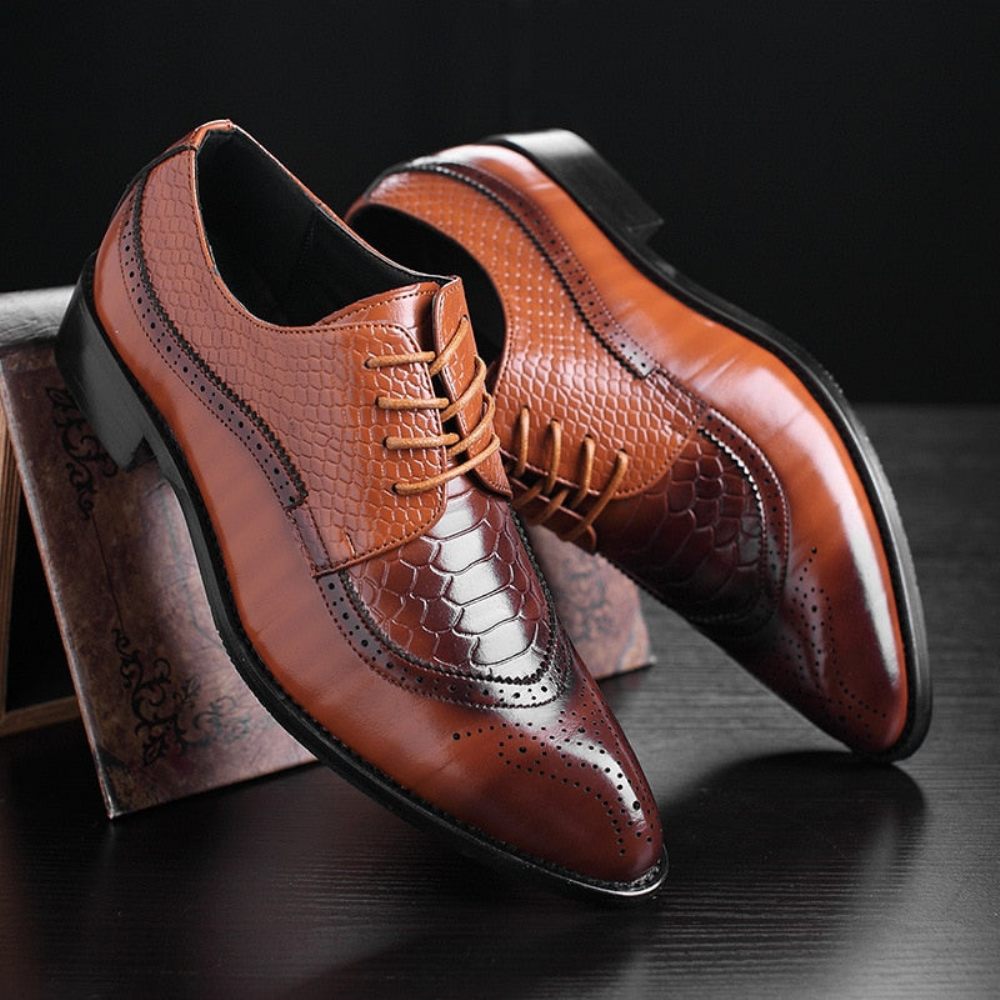 Chaussures Formelles Pour Hommes Derby Exotiques À Lacets - Café