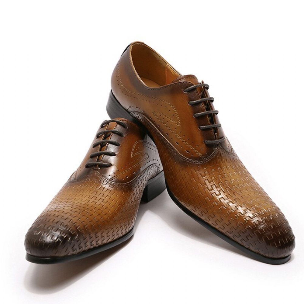 Chaussures Formelles Pour Hommes Eleganza Exotic Lace-up Bout Pointu Oxford - Café