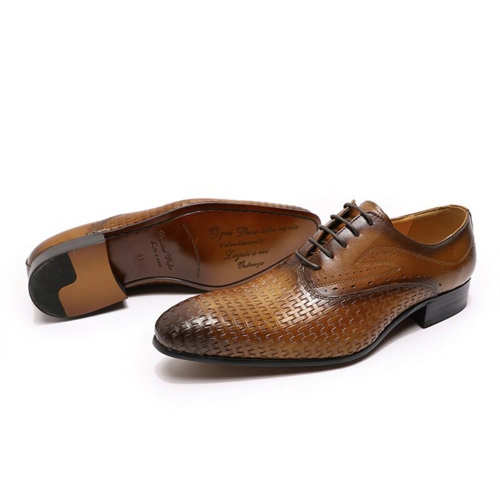 Chaussures Formelles Pour Hommes Eleganza Exotic Lace-up Bout Pointu Oxford - Café