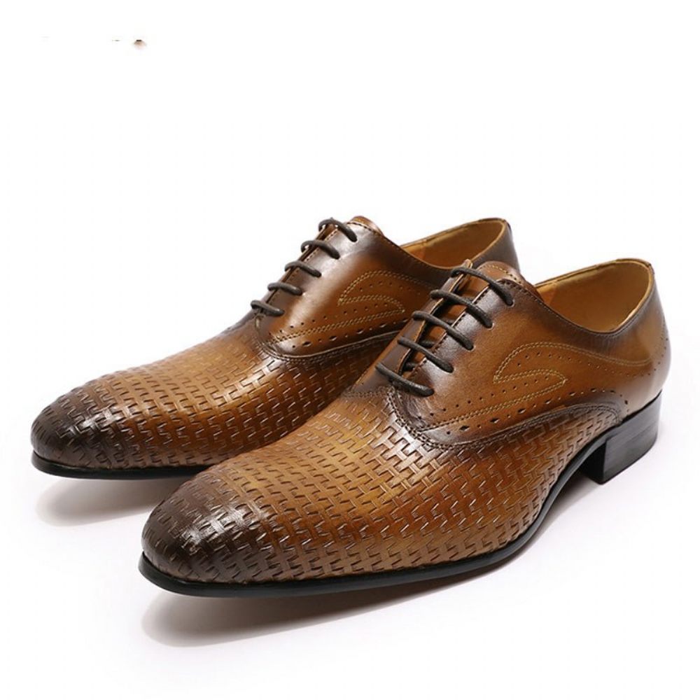 Chaussures Formelles Pour Hommes Eleganza Exotic Lace-up Bout Pointu Oxford - Café