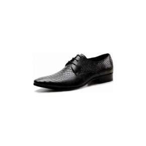 Chaussures Formelles Pour Hommes Habillées Chics À Lacets Peau Serpent