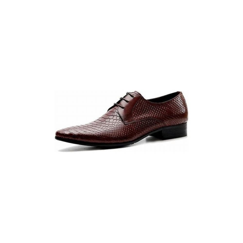 Chaussures Formelles Pour Hommes Habillées Chics À Lacets Peau Serpent - Rouge