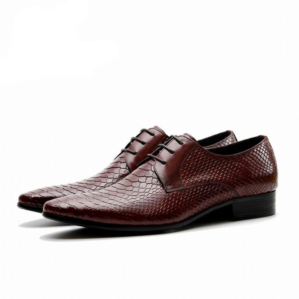 Chaussures Formelles Pour Hommes Habillées Chics À Lacets Peau Serpent - Rouge