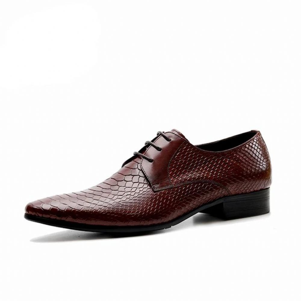 Chaussures Formelles Pour Hommes Habillées Chics À Lacets Peau Serpent - Rouge