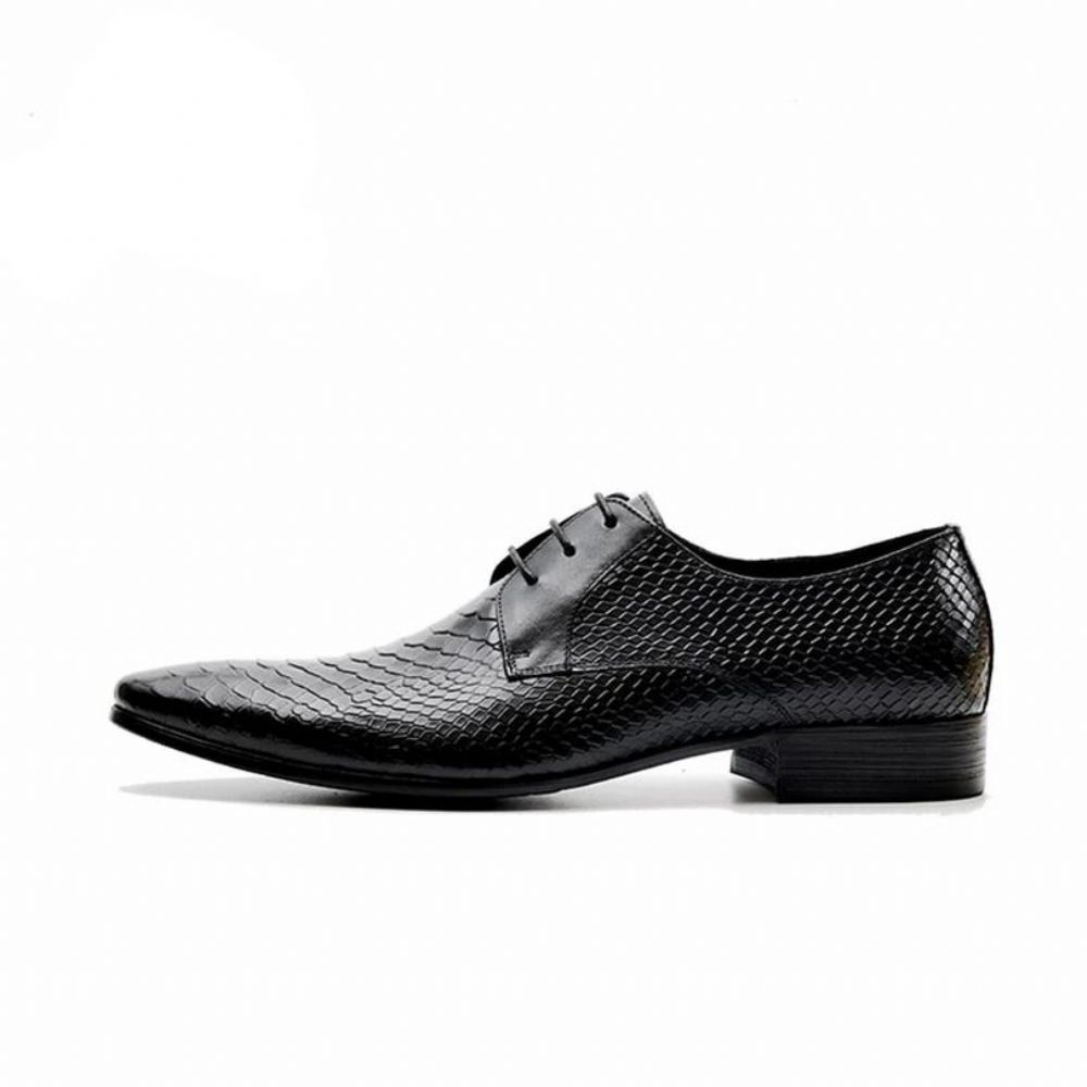 Chaussures Formelles Pour Hommes Habillées Chics À Lacets Peau Serpent - Noir