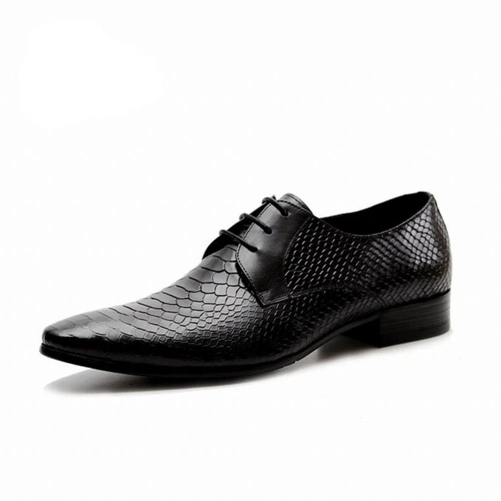 Chaussures Formelles Pour Hommes Habillées Chics À Lacets Peau Serpent - Noir