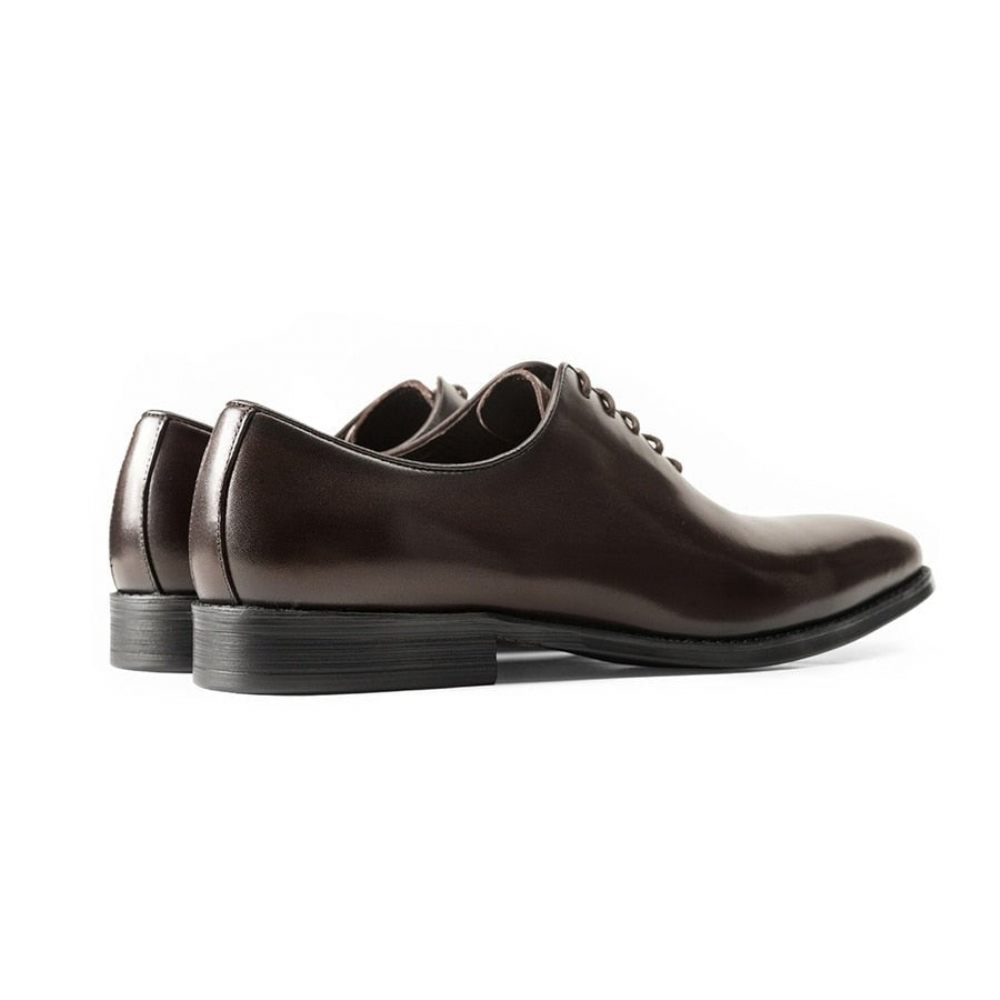 Chaussures Formelles Pour Hommes Habillées Cuir Exotique - Café