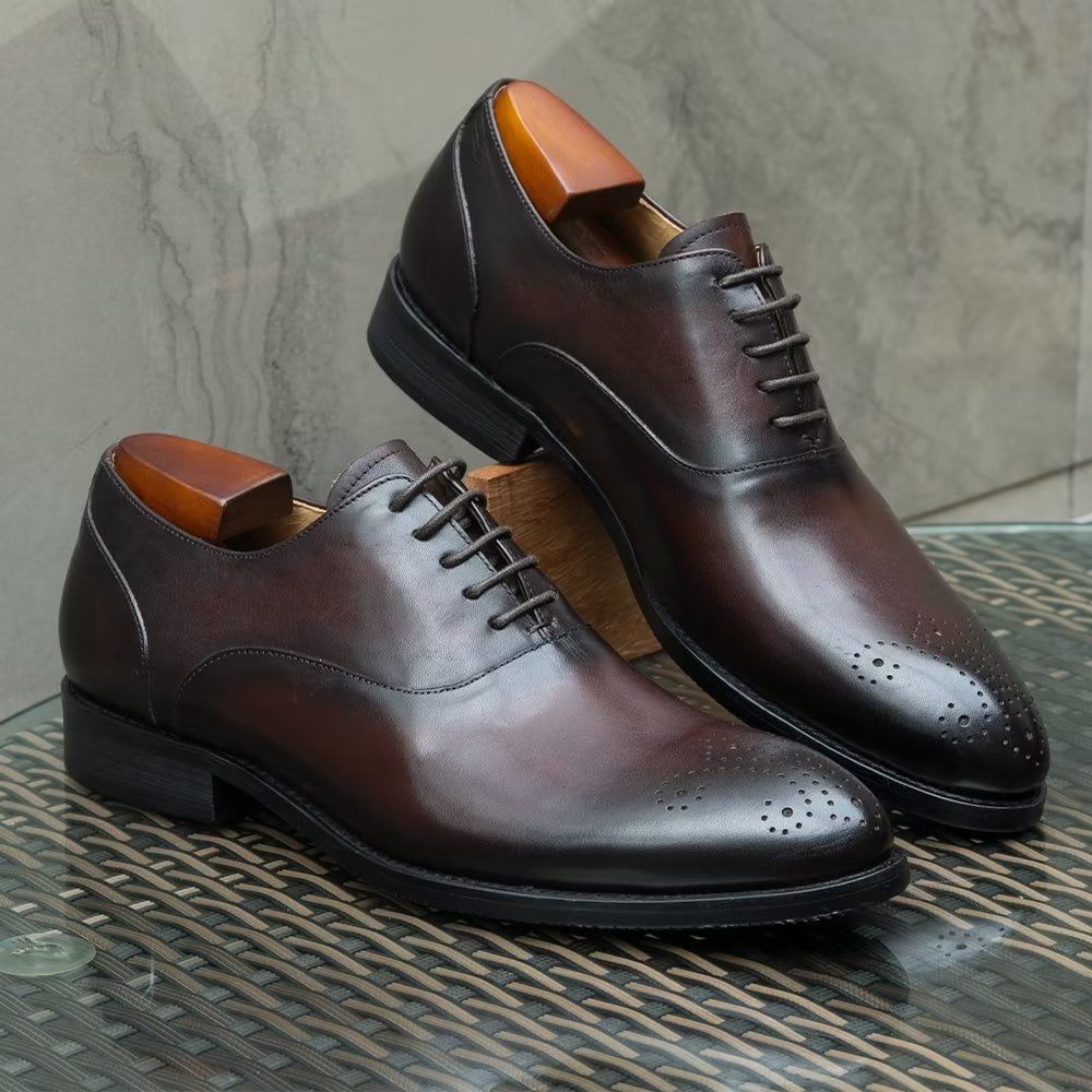 Chaussures Formelles Pour Hommes Habillées Cuir Exquis À Bout D'aile - Café