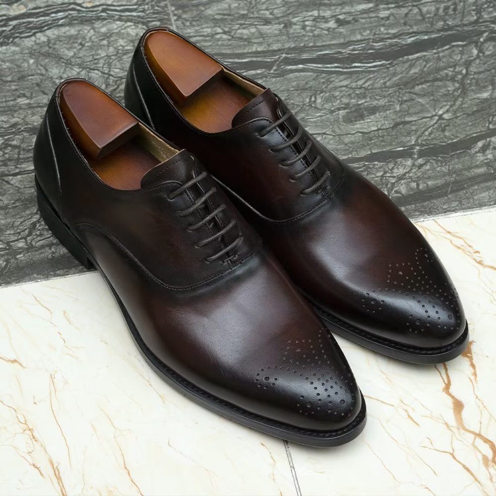 Chaussures Formelles Pour Hommes Habillées Cuir Exquis À Bout D'aile - Café