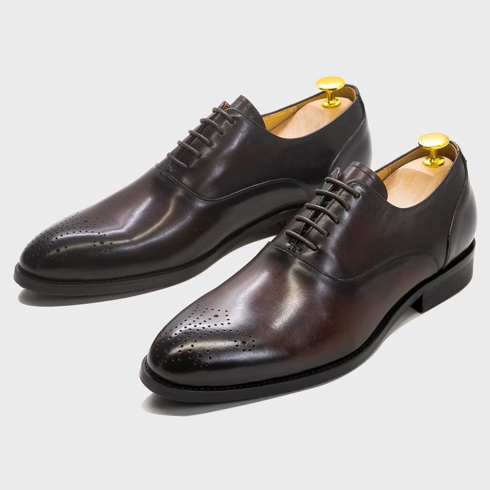 Chaussures Formelles Pour Hommes Habillées Cuir Exquis À Bout D'aile - Café