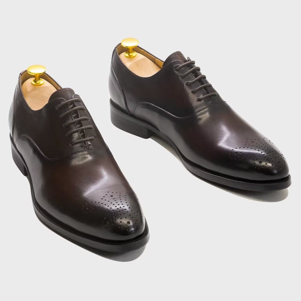 Chaussures Formelles Pour Hommes Habillées Cuir Exquis À Bout D'aile - Café