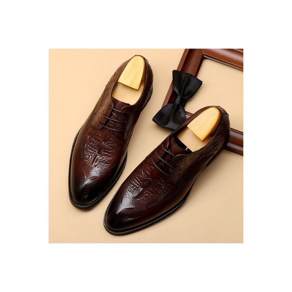 Chaussures Formelles Pour Hommes Habillées Cuir À Lacets Exotiques - Café