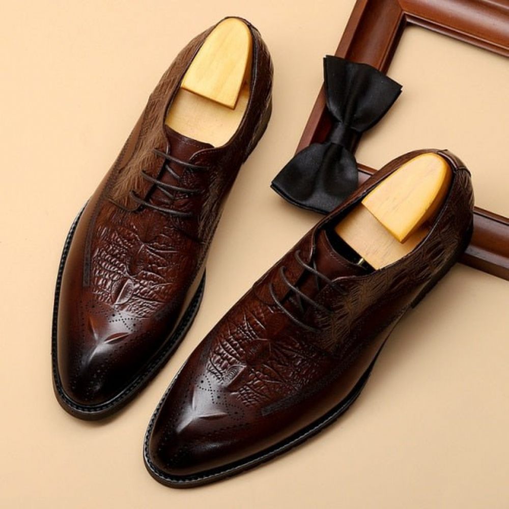 Chaussures Formelles Pour Hommes Habillées Cuir À Lacets Exotiques - Café