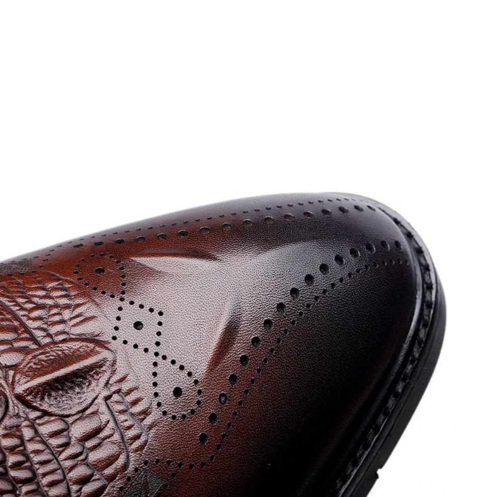 Chaussures Formelles Pour Hommes Habillées Cuir À Lacets Exotiques - Café