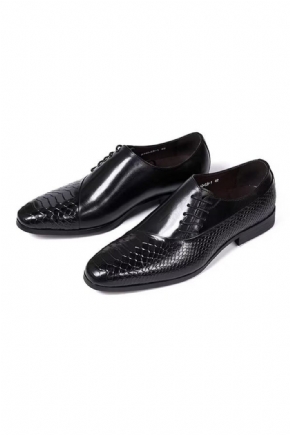 Chaussures Formelles Pour Hommes Habillées Cuir Professionnelles Modernes