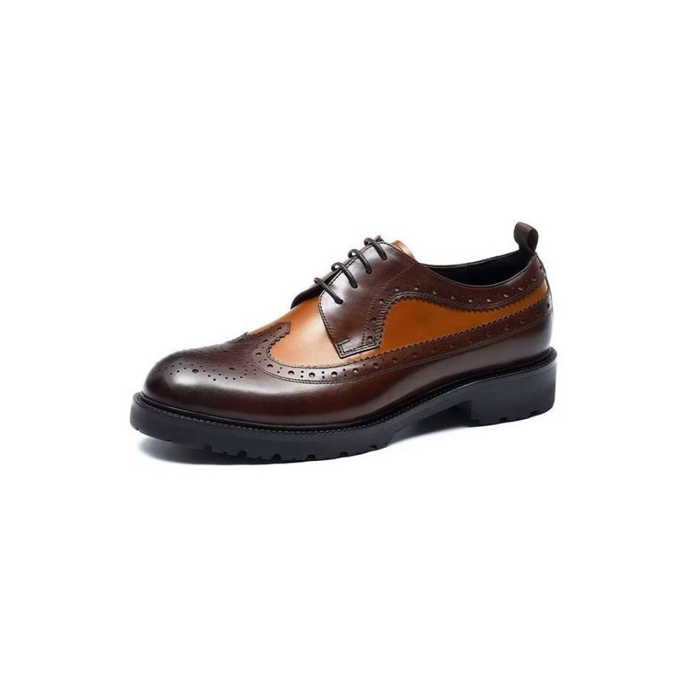 Chaussures Formelles Pour Hommes Habillées Cuir Vache Exquises - Café