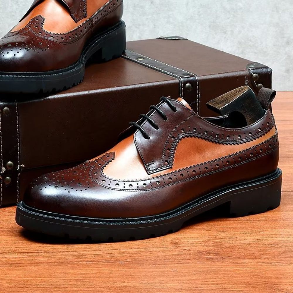 Chaussures Formelles Pour Hommes Habillées Cuir Vache Exquises - Café