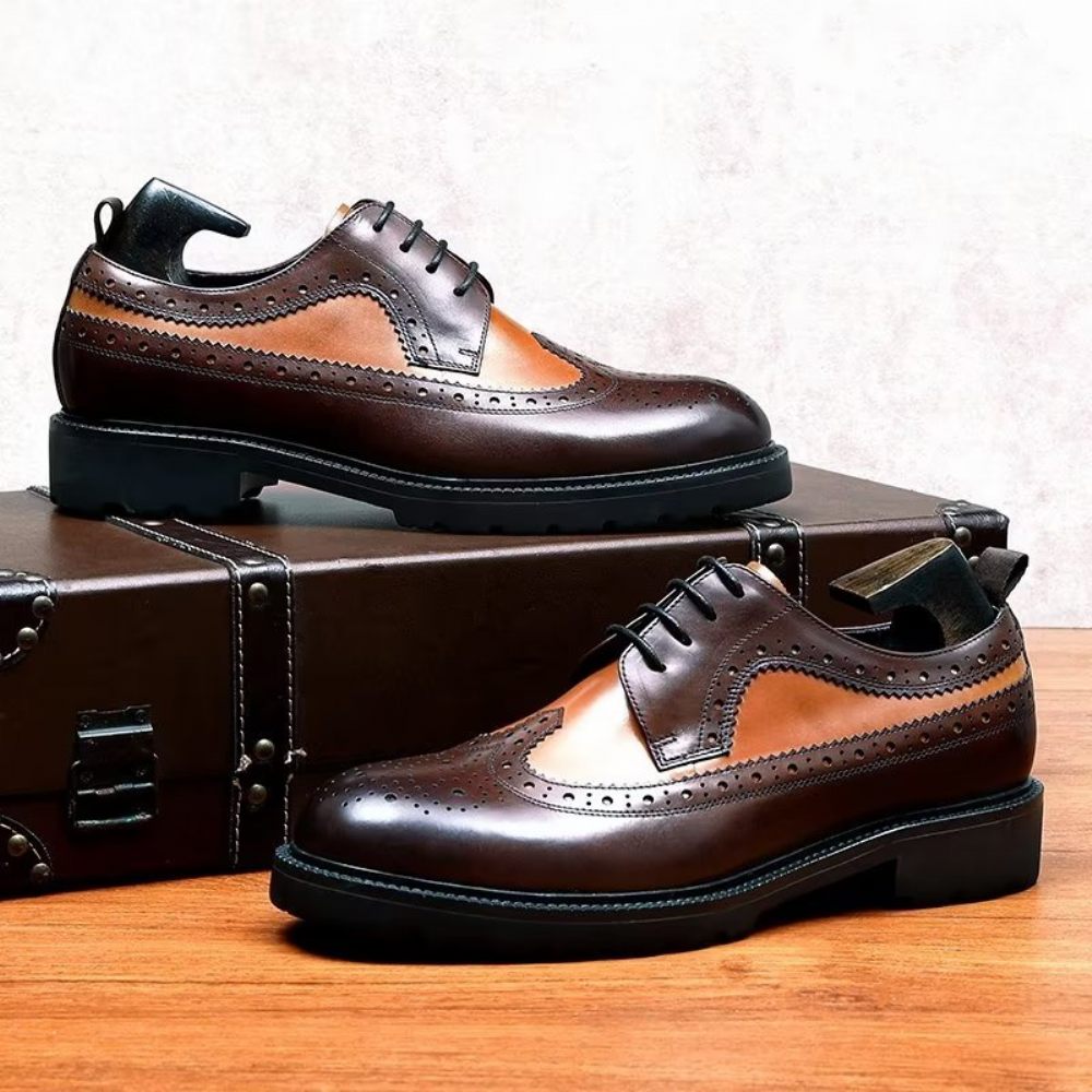 Chaussures Formelles Pour Hommes Habillées Cuir Vache Exquises - Café