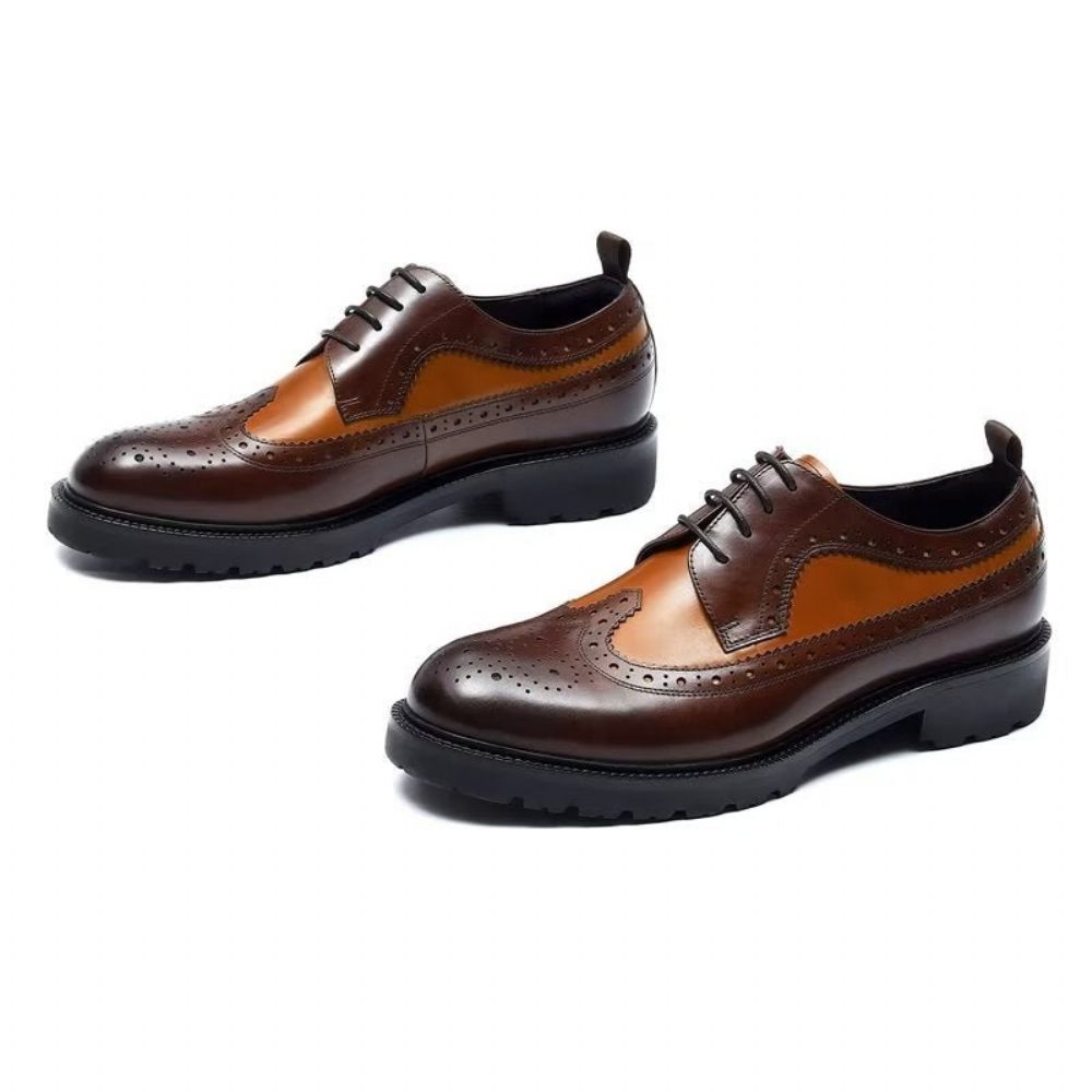 Chaussures Formelles Pour Hommes Habillées Cuir Vache Exquises - Café