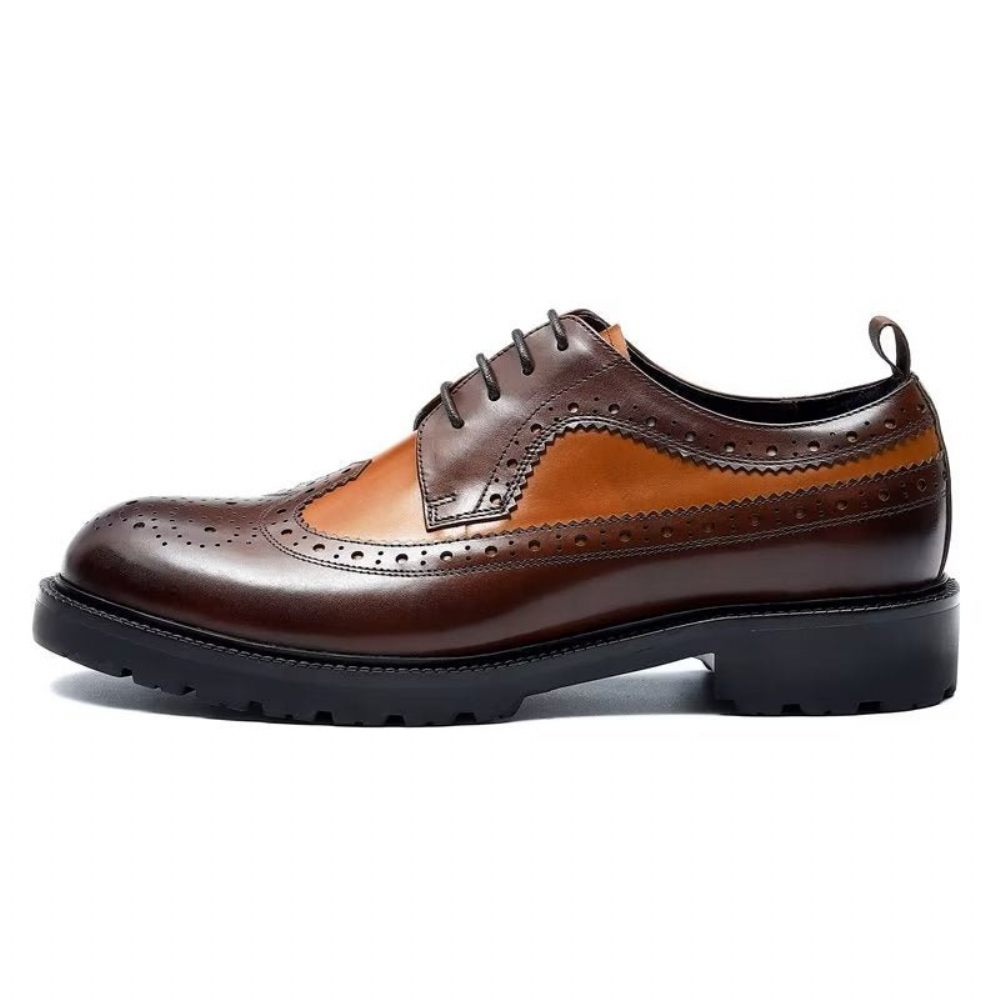 Chaussures Formelles Pour Hommes Habillées Cuir Vache Exquises - Café