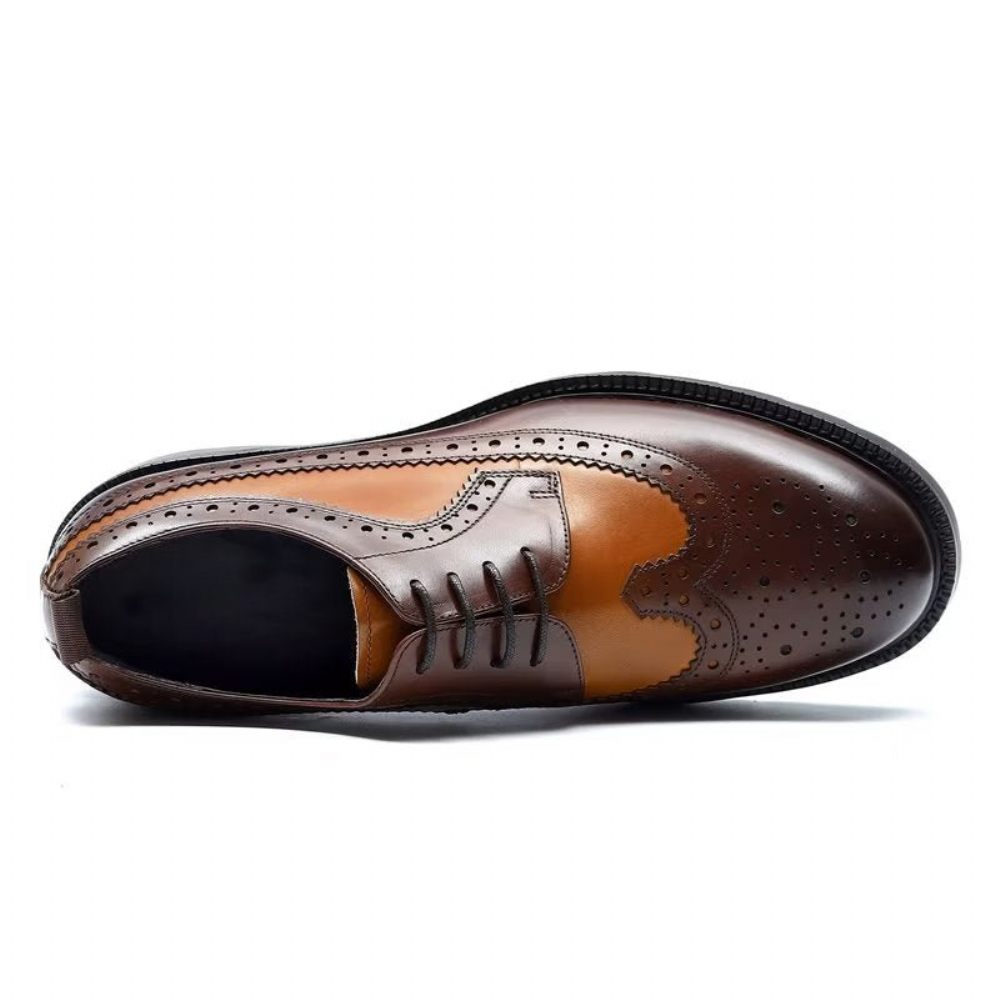 Chaussures Formelles Pour Hommes Habillées Cuir Vache Exquises - Café