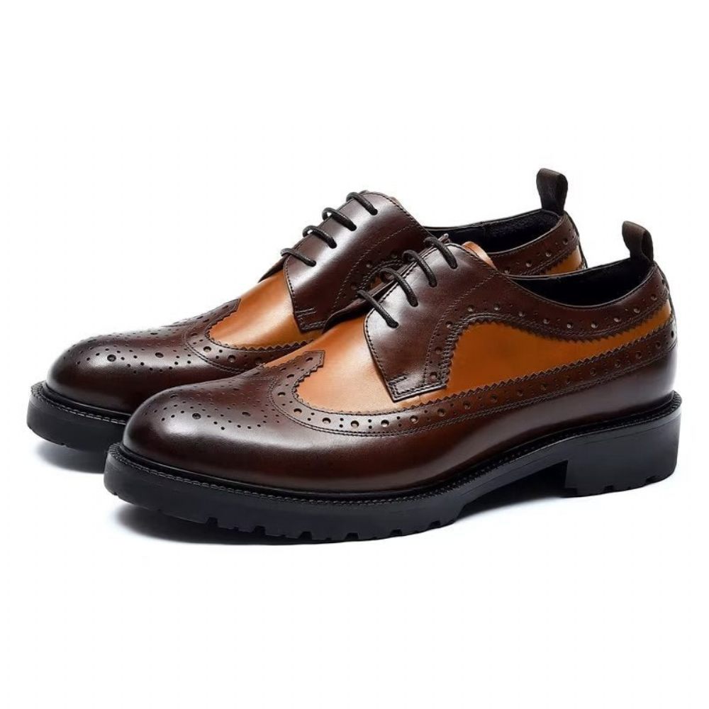 Chaussures Formelles Pour Hommes Habillées Cuir Vache Exquises - Café