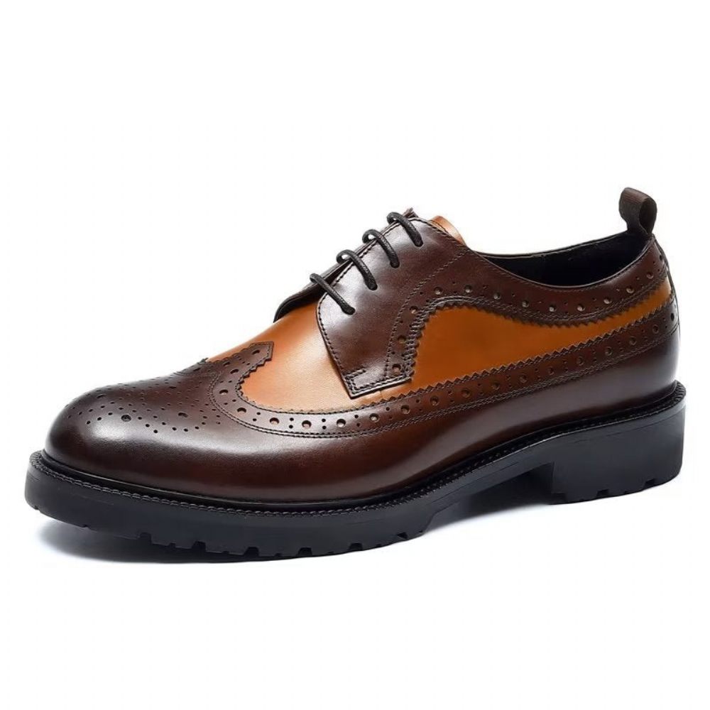 Chaussures Formelles Pour Hommes Habillées Cuir Vache Exquises - Café