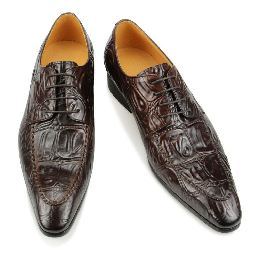 Chaussures Formelles Pour Hommes Habillées Derby À Bout Pointu Luxe Opulent - Café